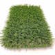Konstgräs ScanTurf Excellence