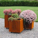 Krukset GrillSymbol Fat Ballerina 3-pack