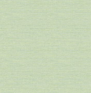 Tapet A Street Prints Grasscloth FD24284