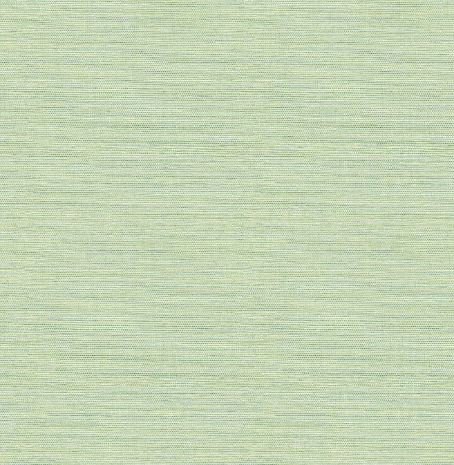 Tapet A Street Prints Grasscloth FD24284