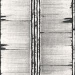 Tapet Galerie Wallcoverings Bark Stripe G78283