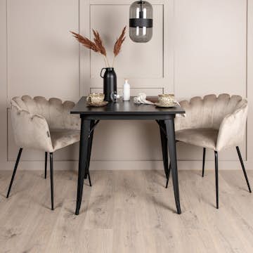 Matgrupp Venture Home Tempe med 2 Limhamn Stolar