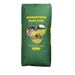 Gräsfrö Skånefrö 100 Svingel