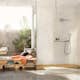 Handdusch Hansgrohe Raindance Select S 120 3jet EcoSmart