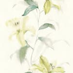 Tapet Wallquest Jasmine JA31604