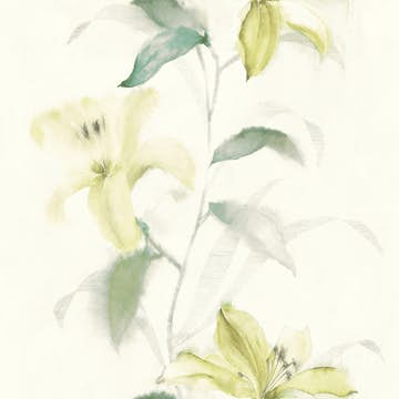 Tapet Wallquest Jasmine JA31604