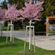 Körsbärsträd Omnia Garden Japanskt Prunus Kanzan 100-120 cm