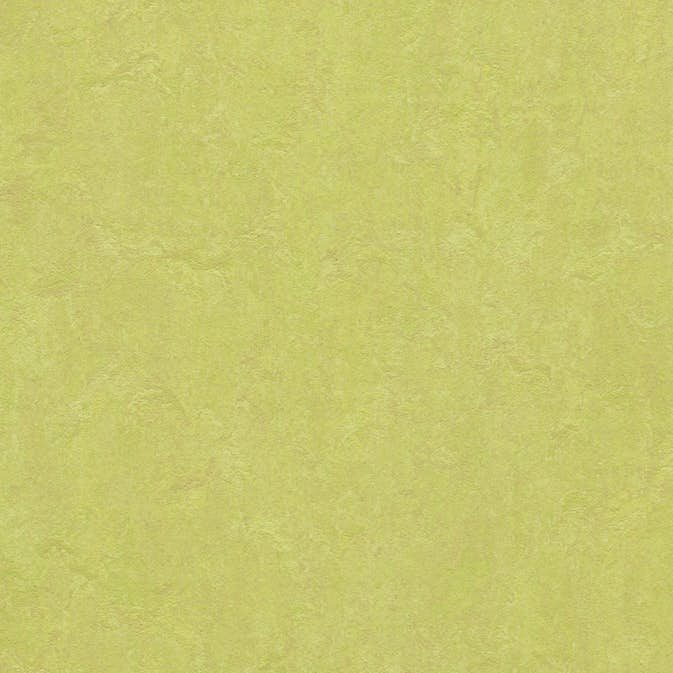 Linoleumgolv Forbo Marmoleum Click Spring Buds 30x30 cm