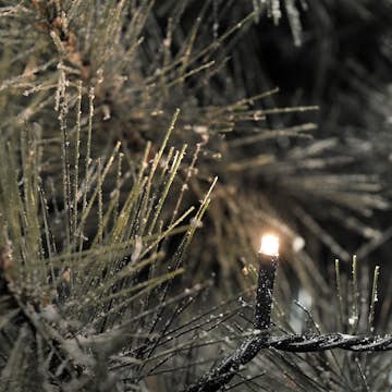 Ljusslinga Gnosjö Konstsmide 120 st Mikro LED 13 m