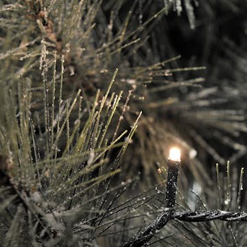 Ljusslinga Gnosjö Konstsmide 80 st Mikro 3611 LED