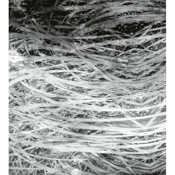 Fototapet Dimex Hay Abstract II