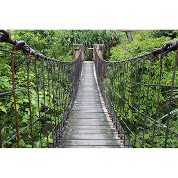 Tapet Dimex Footbridge