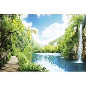 Tapet Dimex Relax in Forest