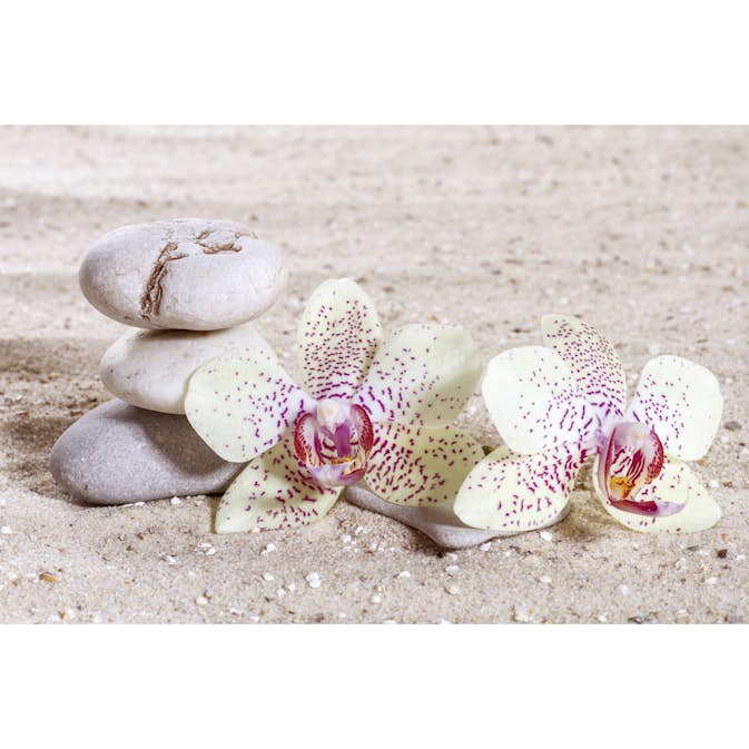 Tapet Dimex Zen Balance