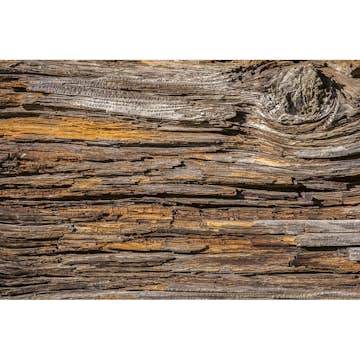 Tapet Dimex Tree Bark
