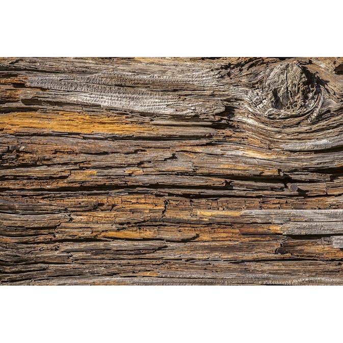 Tapet Dimex Tree Bark