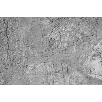 Tapet Dimex Concrete Floor