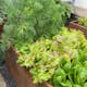 Odlingslåda Flexigarden Cortenplåt 2 mm 800x1200x400 mm