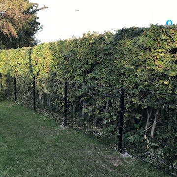 Panelstängsel Hortus med Deko X Svart