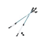 Gåstavar Silva Aluminium