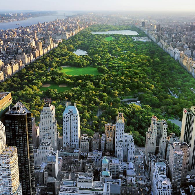 Tapet Idealdecor Central Park