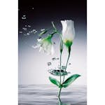 Tapet Idealdecor Giant Art Crystal Flowers
