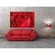 Tapet Idealdecor Giant Art L'important c'est la Rose