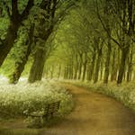 Tapet Idealdecor Non-Woven A Seat not Taken