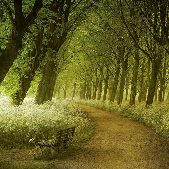 Tapet Idealdecor Non-Woven A Seat not Taken