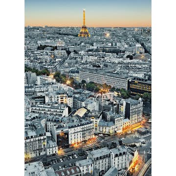 Tapet Idealdecor Paris Aerial View