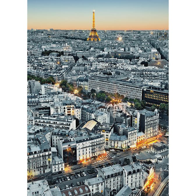 Tapet Idealdecor Paris Aerial View