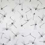 Tapet Mimou Dragonfly White