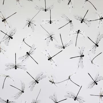 Tapet Mimou Dragonfly White