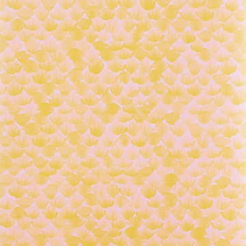 Tapet Mimou Poppy Rosa