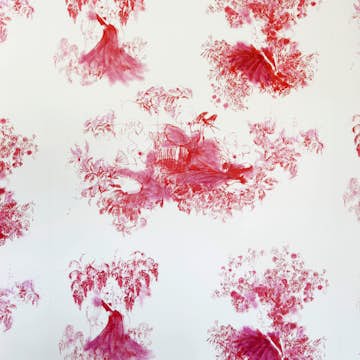 Tapet Mimou Toile Mesdames Fuchsia