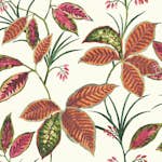 Tapet Wallquest Maui Maui TP80810