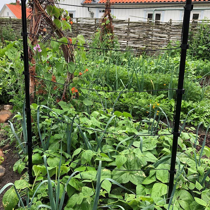 TrådSpaljé Flexigarden