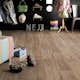 Vinylgolv Gerflor Texline Noma Miel