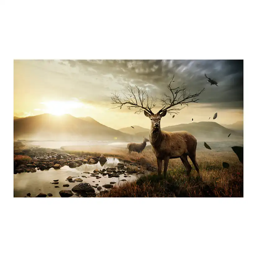 Fototapet Arkiio Rådjur med fjällbäck 450x270 cm