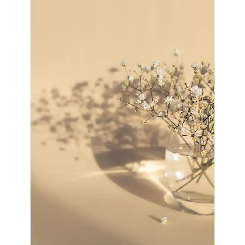 Posters Venture Home White Flowers Beige