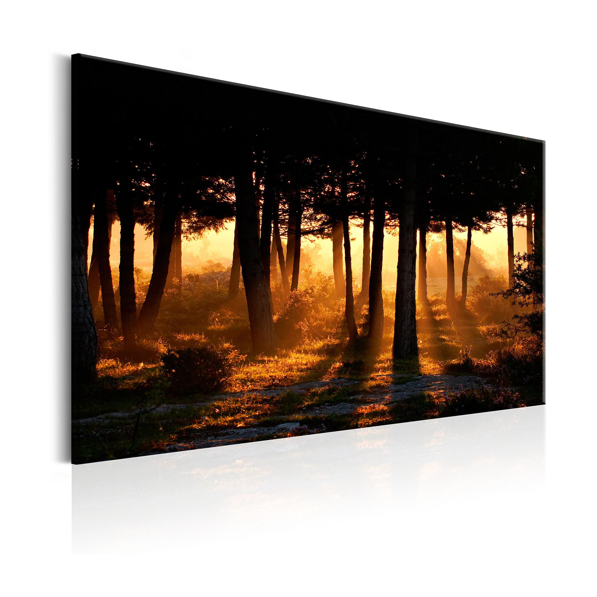 Tavla Arkiio Forest Dawn