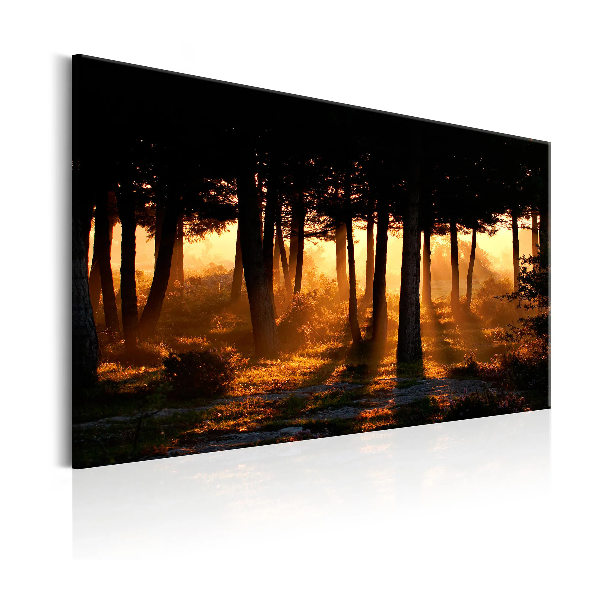 Tavla Arkiio Forest Dawn