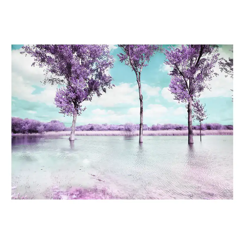 Fototapet Arkiio Heather Landscape