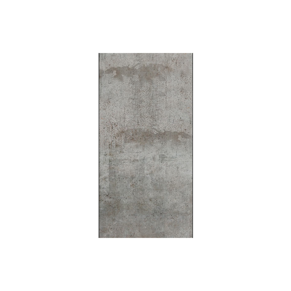 Fototapet Arkiio Gray pigeon 50x1000 cm