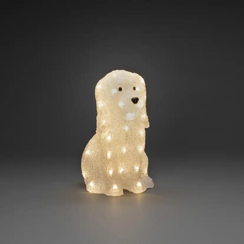 Dekorationsbelysning Gnosjö Konstsmide Hund Akryl 31cm 40 Led