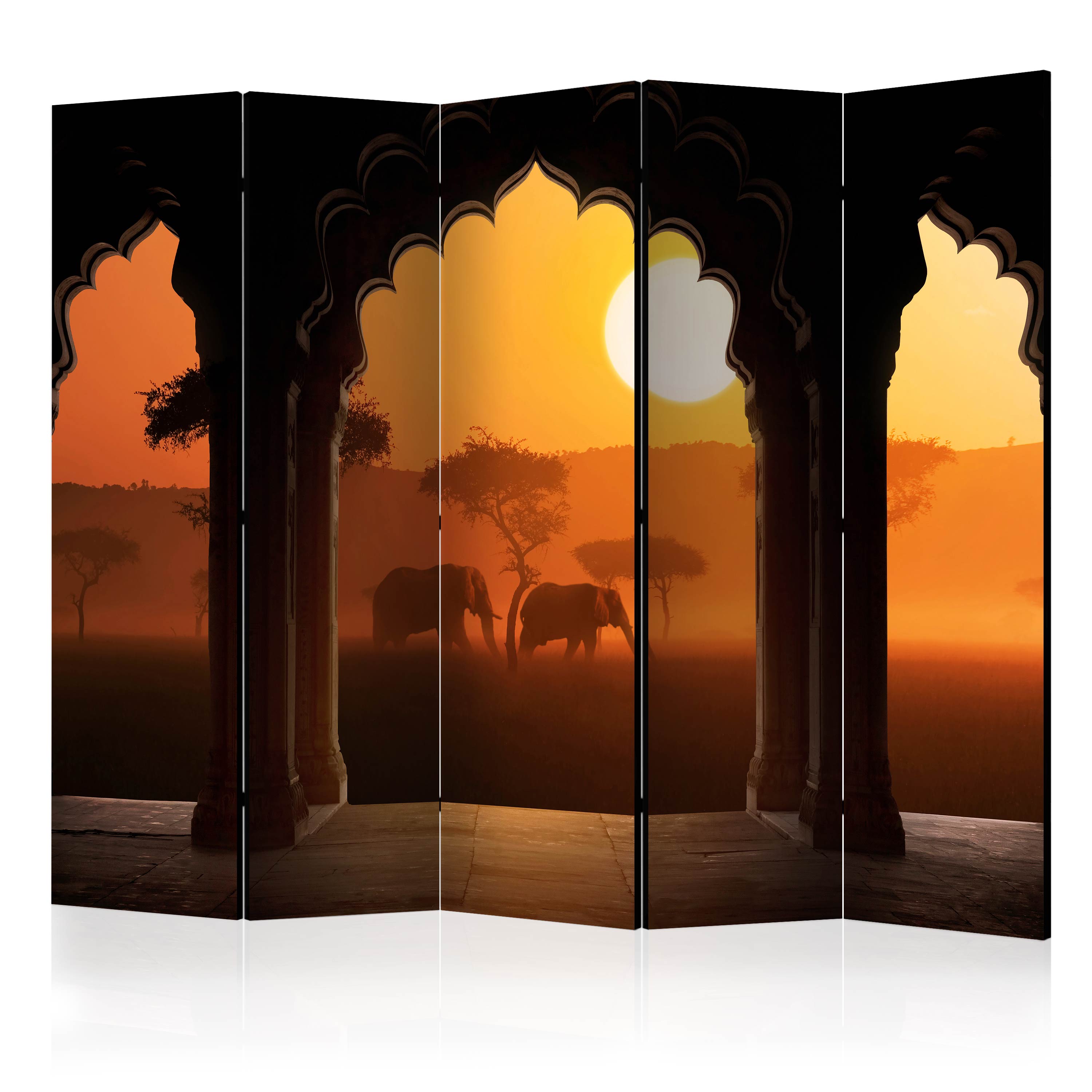 Rumsavdelare Arkiio Hear Africa II 225x172 cm
