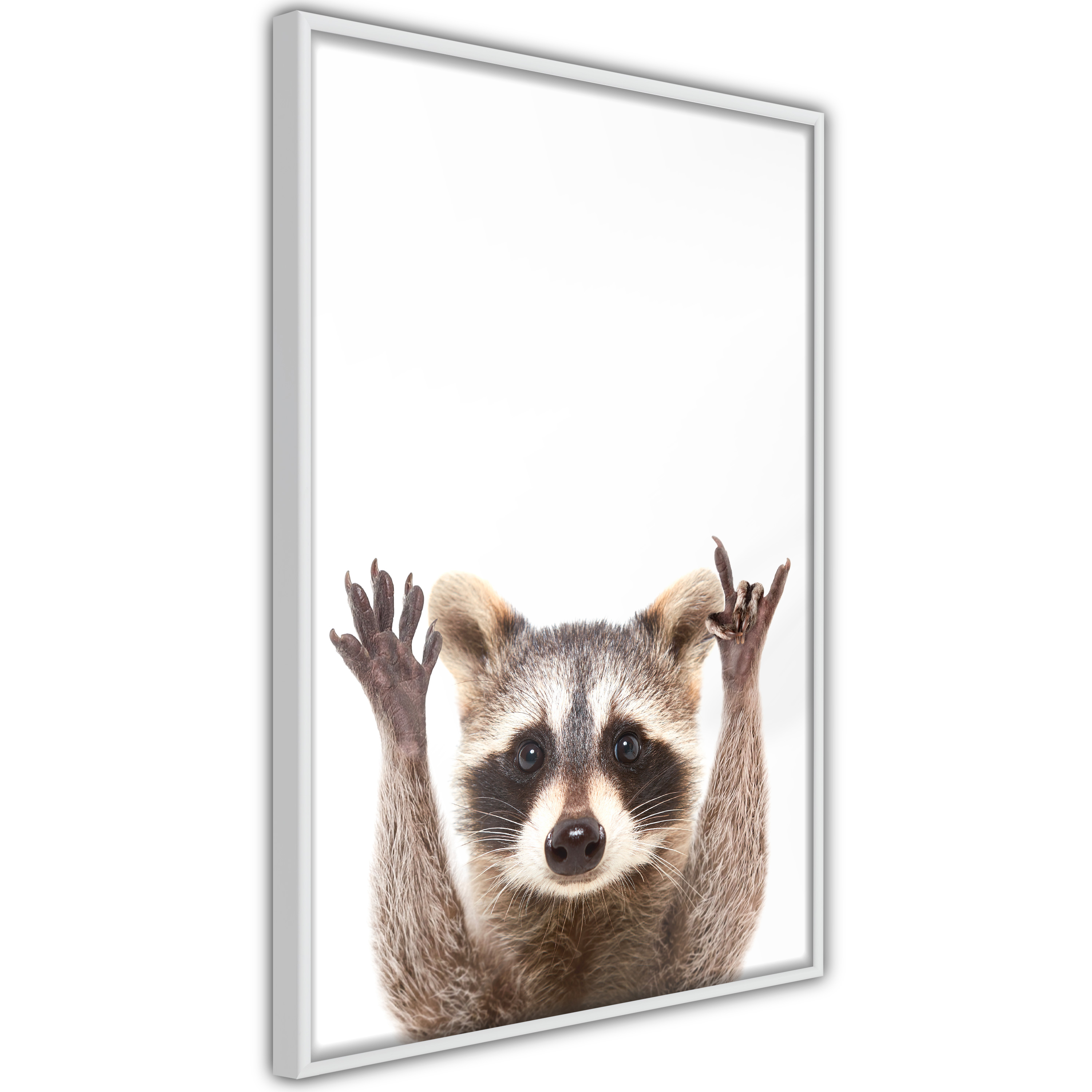 Poster Artgeist Affisch Raccoon