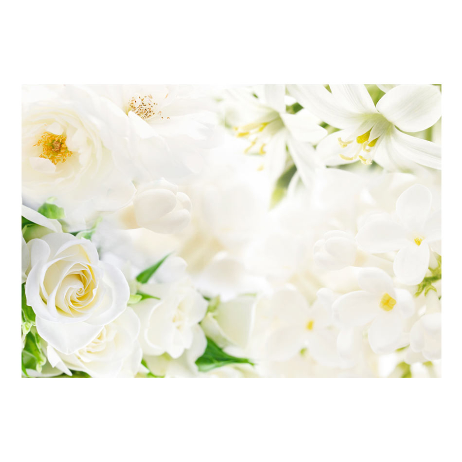 Fototapet Arkiio White Sigh