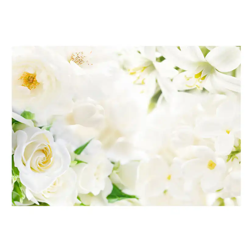 Fototapet Arkiio White Sigh