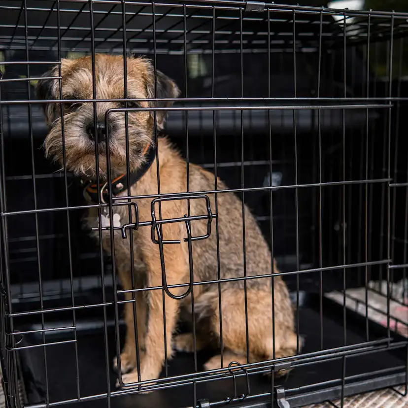 Hundbur Trekker Lättmetall XXL